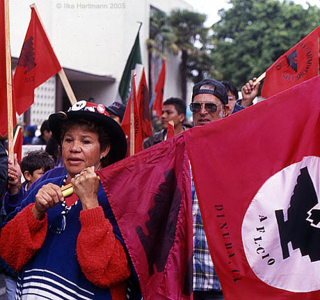 02_woman_among_flags_pilgrimage_sacramento_1994.jpg