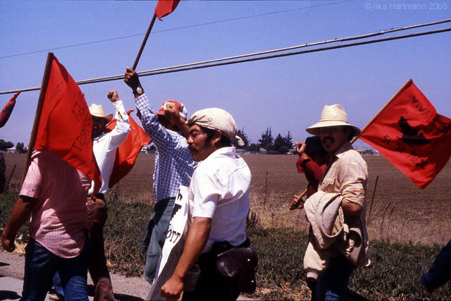 05_united_farm_worker_marchers_on_way_to_salinas_1979.jpg
